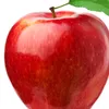 green_apple442