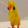expiredeggyolk3