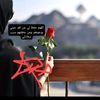 user17720843028360