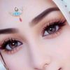 dhechayank2