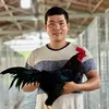 huy_batri1