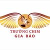 truongchimgiabao