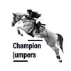champion_jumpers