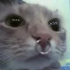 mirnxjwn