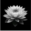 _lethingochan_