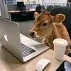 username939109