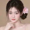 changchang9880