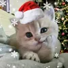 baorr7th3_