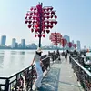 changchangpham2024