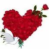 maroualine.hayet