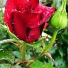 user9048872002225