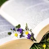 mysteres_des_plantes