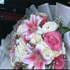 malak_dawoud1