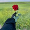 ayousha_a_