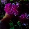 userosaqls5d94