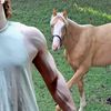 dailydressagehorses
