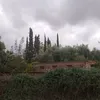 azizebnis