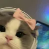 l2brl