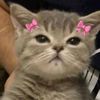 _thyv.lov4lyrell