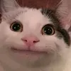 congngj