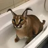 userp3ahrdmrn1