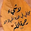 user8697213599207