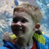 maximdoorenweerd