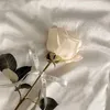 castee_pyuu