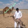 user7xjf4ll7j4