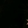codet._22