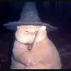 ant_o...r