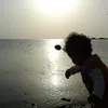 ابن العراق الحر
