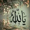 user5548804376943