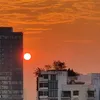 thai.hoa732
