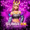 suma_apu_