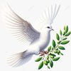 asia.awad1