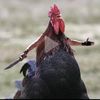 chicken_warrior_ii