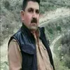 nawzad564