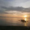 chrysss12