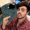 mena_palm