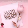 user623prpnkts