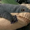 furrypawsmaker