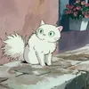 sei._.08