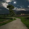 abu_ahmed_506_