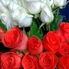 user47136786319792