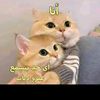 you.you7438