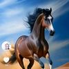 user5914096393506