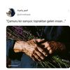 Ayşe Nur 🥀