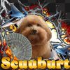 scuuburt_711