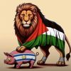 areefmohsen